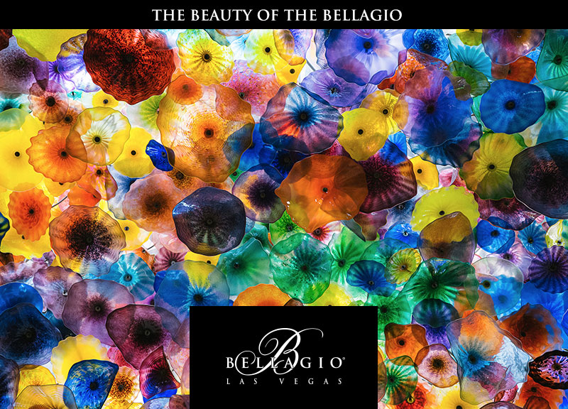 Bellagio ‘The Beauty of…’ Expanding Image Gallery