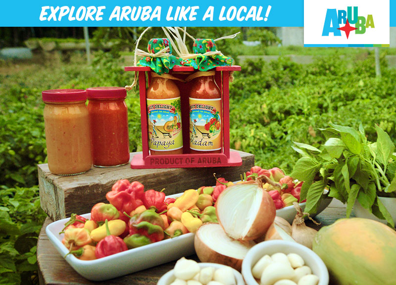 Explore Aruba Large Format Travel Video Display